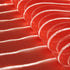 DANIELA RED FABRIC (LUMINOUS FIBER OPTIC FABRIC)